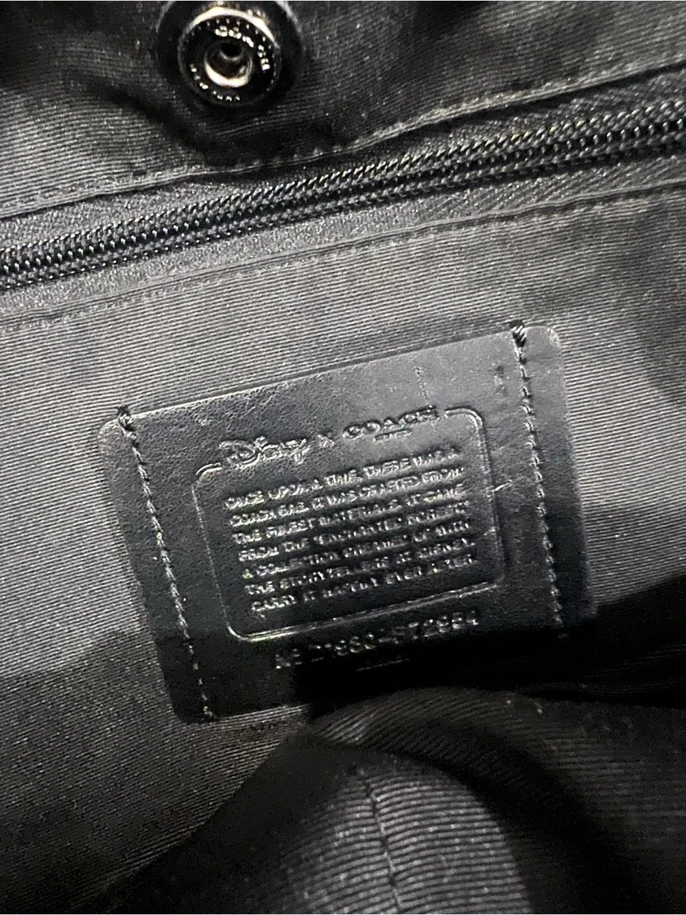 Coach x Disney Brown & Black Signature Canvas Backpack with Playful Eye Pocket